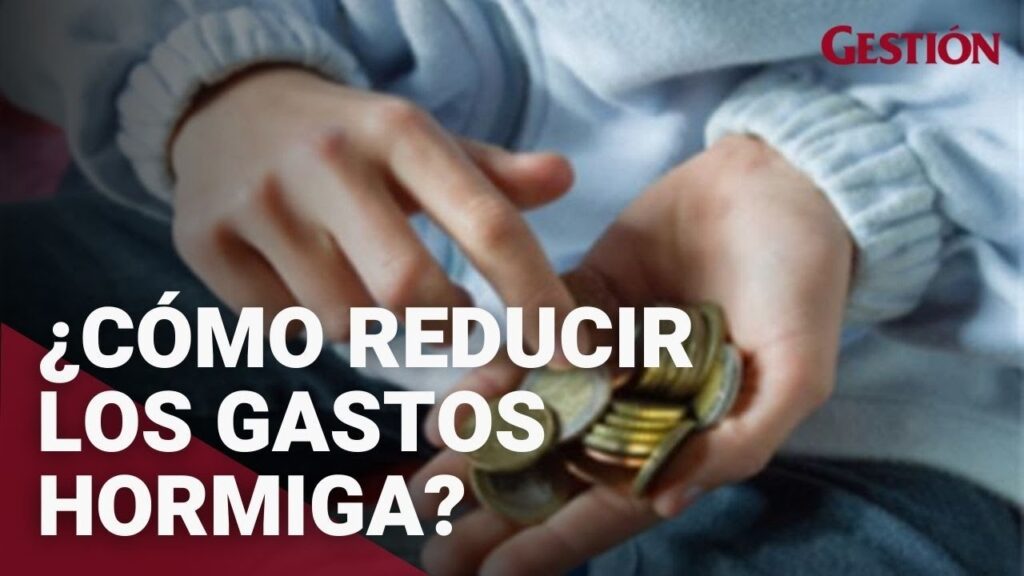 Cómo identificar y eliminar los gastos hormiga diarios