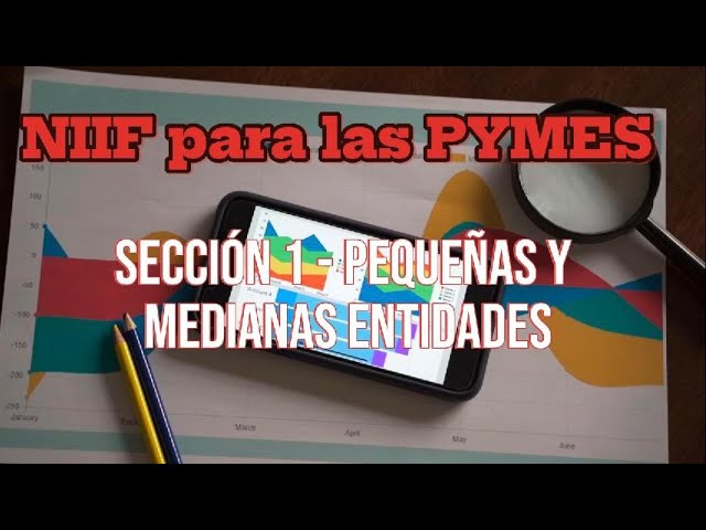 Cómo preparar estados financieros bajo NIIF para pequeñas empresas