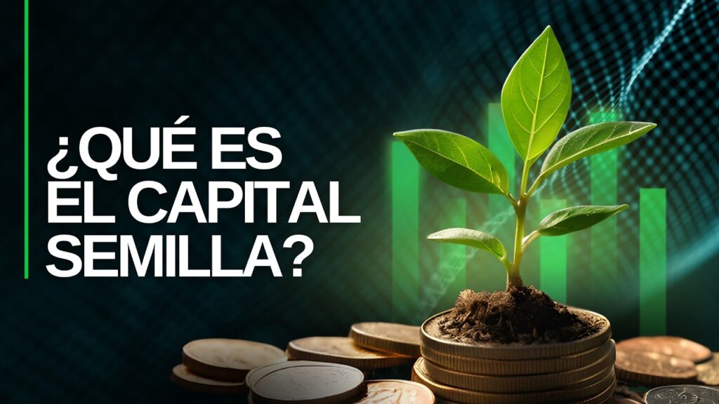 Qué es el capital semilla y cómo obtenerlo