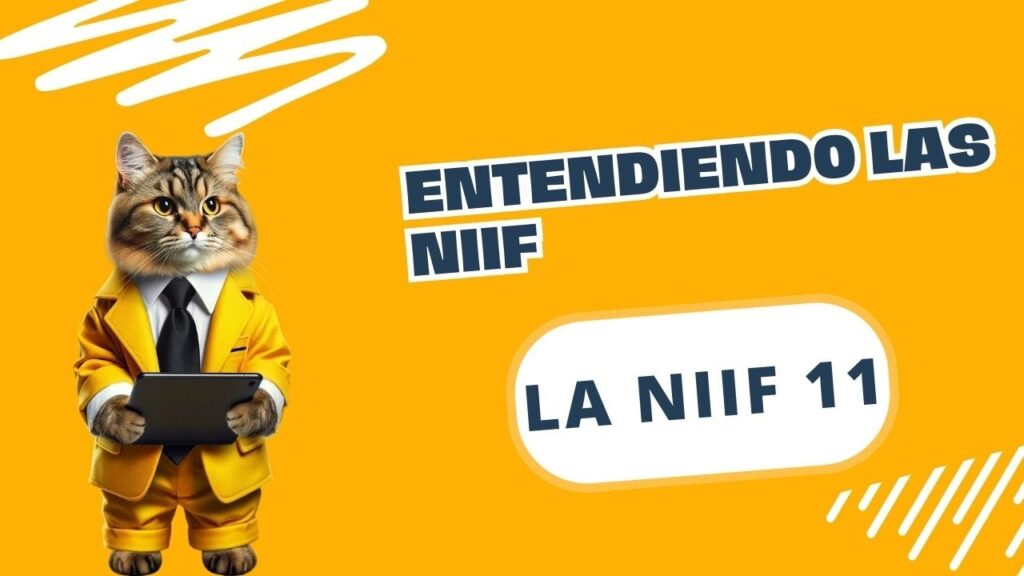 Diferencias entre control conjunto y operaciones conjuntas bajo NIIF 11