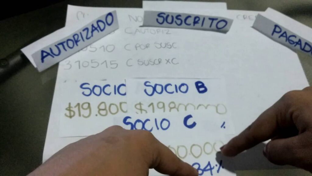 Cómo presentar el capital social bajo NIIF