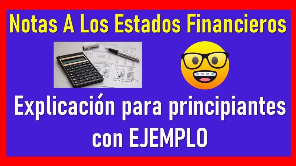 Cómo preparar notas a los estados financieros bajo NIIF