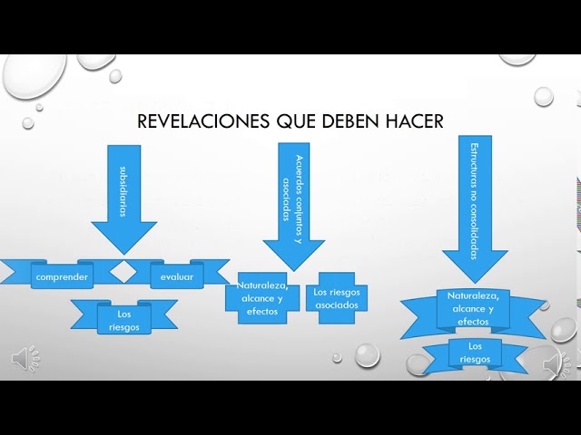 Aplicación de la NIIF 12 en revelación de participaciones